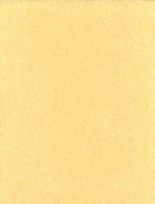 Light Parchment Paper 25 Pack (8 1/2" x 11")