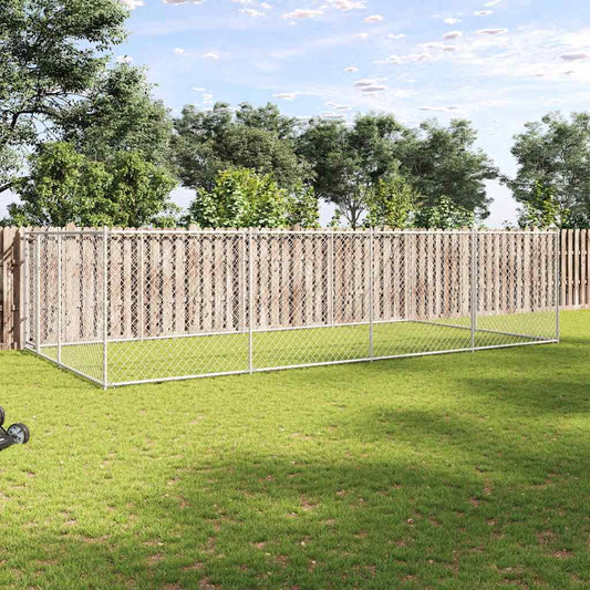 Outdoor Dog Kennel 24.9'x12.5'x6.2'