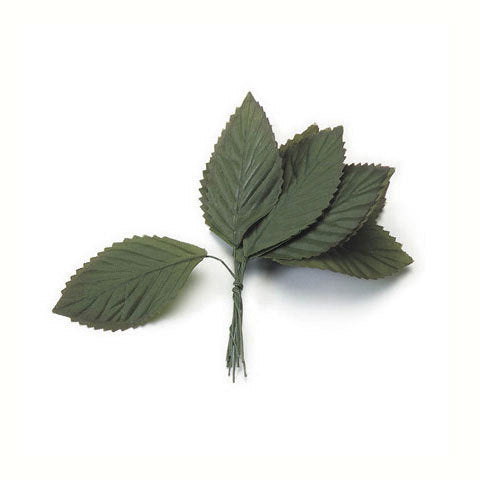 Large Rose Leaf Green 1 1 2 X 3 Inches