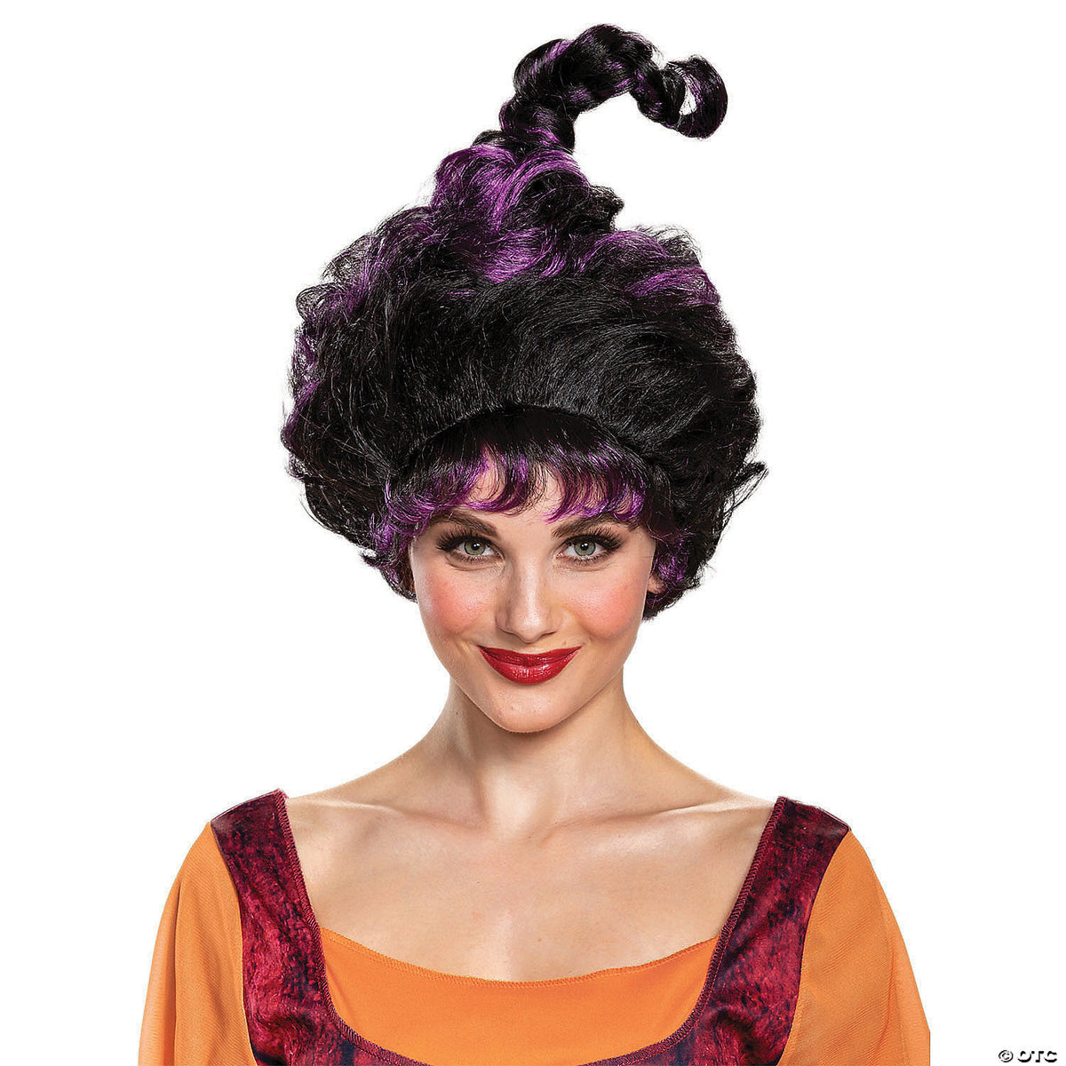 Adults Disney s Hocus Pocus Mary Deluxe Wig
