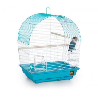 Prevue Pet Southbeach Teal White Dome Top SP50071